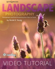Nicole S Young - Landcape Photography Video Tutorial